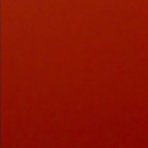 Meet your Posher, Bryce